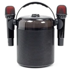 Y-9 Οικογενειακό ηχείο Karaoke με 2 ασύρματα μικρόφωνα